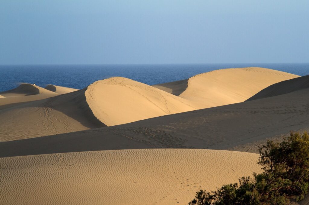 maspalomas, sand dunes, gran canaria-1762714.jpg