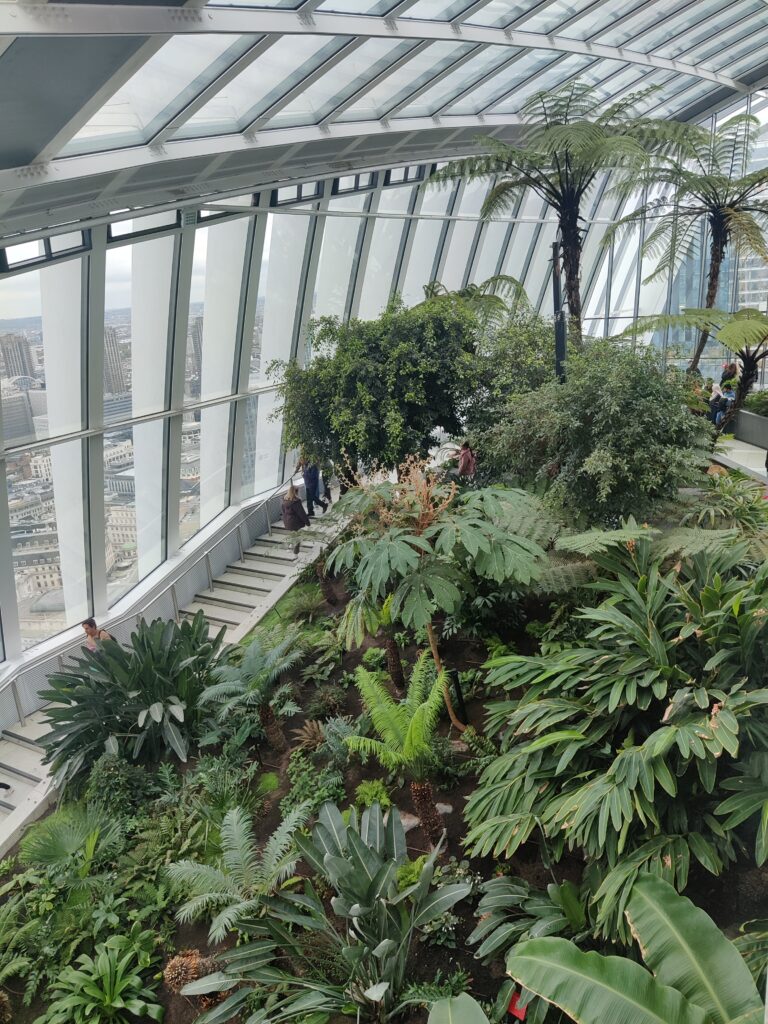 Vegetación dentro del Sky Garden.