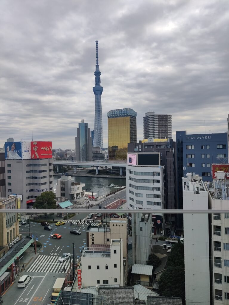 Vistas desde mirador